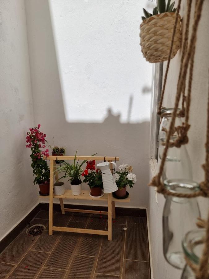 Dream Days Guesthouse District de District de Faro Extérieur photo