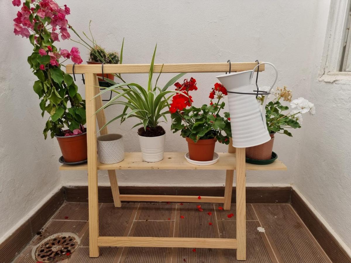Dream Days Guesthouse District de District de Faro Extérieur photo